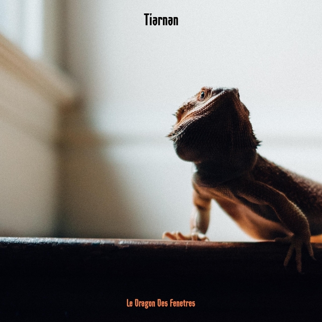 Couverture de Tiarnan