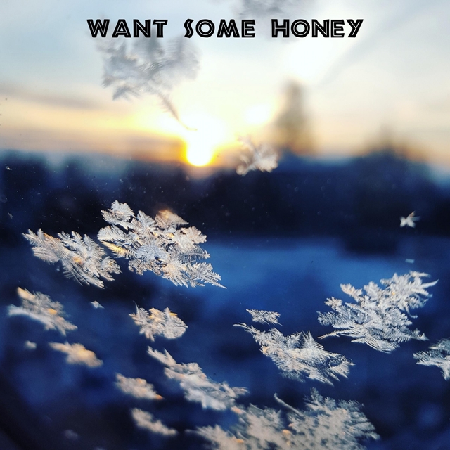 Couverture de Want Some Honey