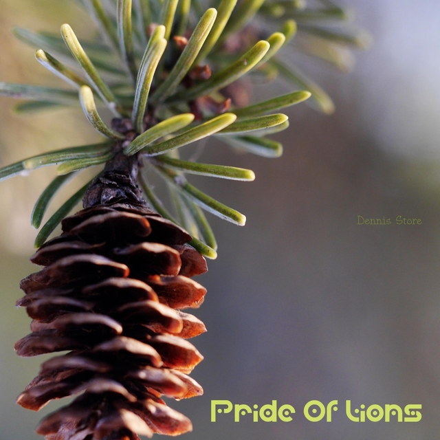 Couverture de Pride Of Lions