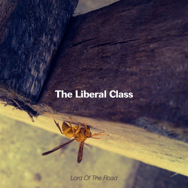 Couverture de The Liberal Class