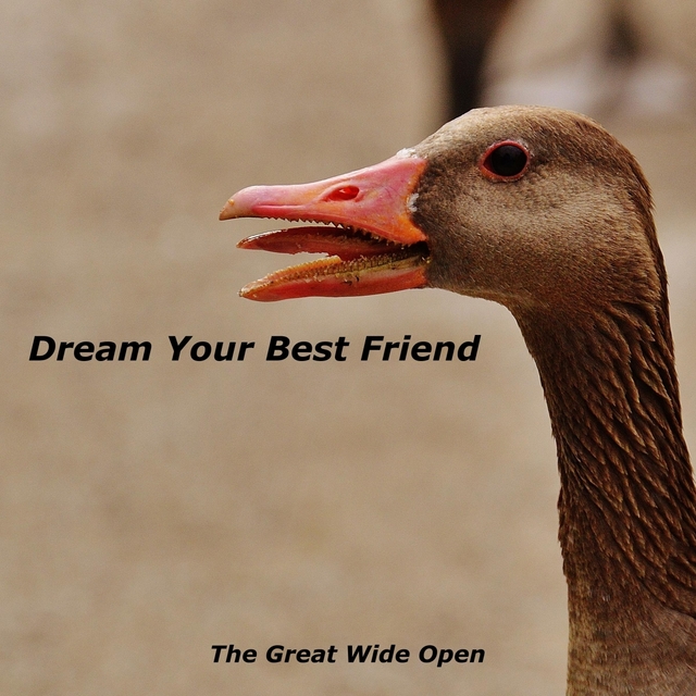 Dream Your Best Friend