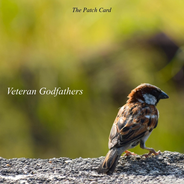 Couverture de Veteran Godfathers