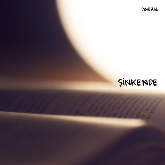 Couverture de Sinkende