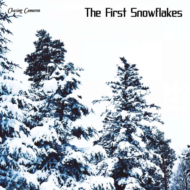 Couverture de The First Snowflakes