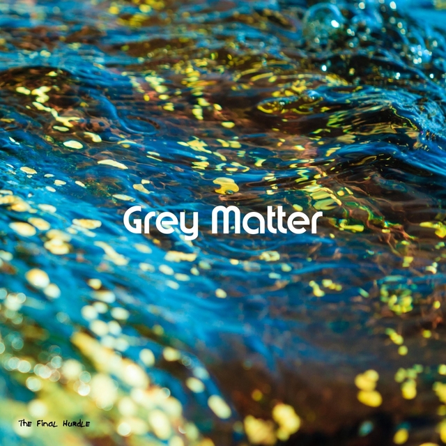 Couverture de Grey Matter