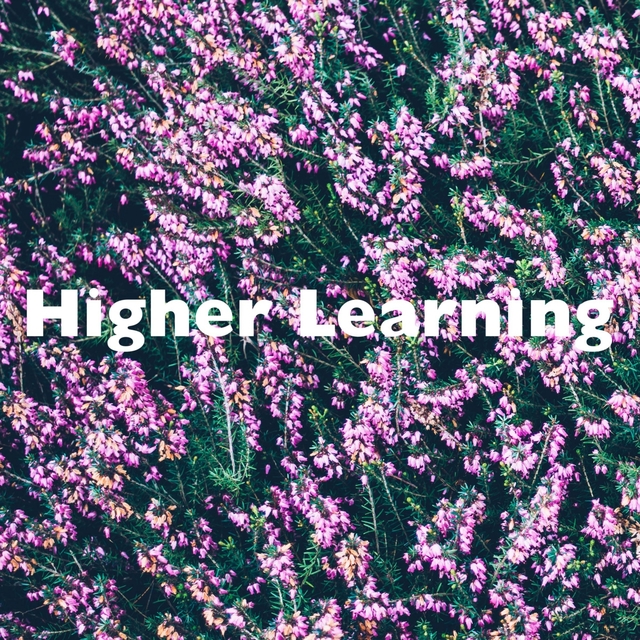 Couverture de Higher Learning