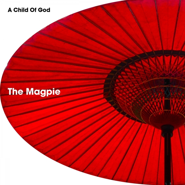 Couverture de The Magpie