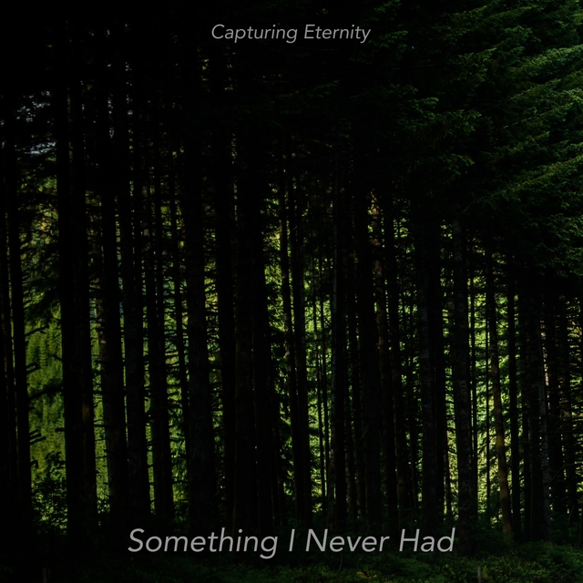 Couverture de Something I Never Had