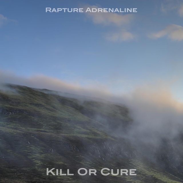 Couverture de Kill Or Cure