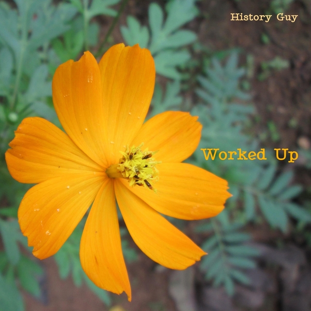 Couverture de Worked Up