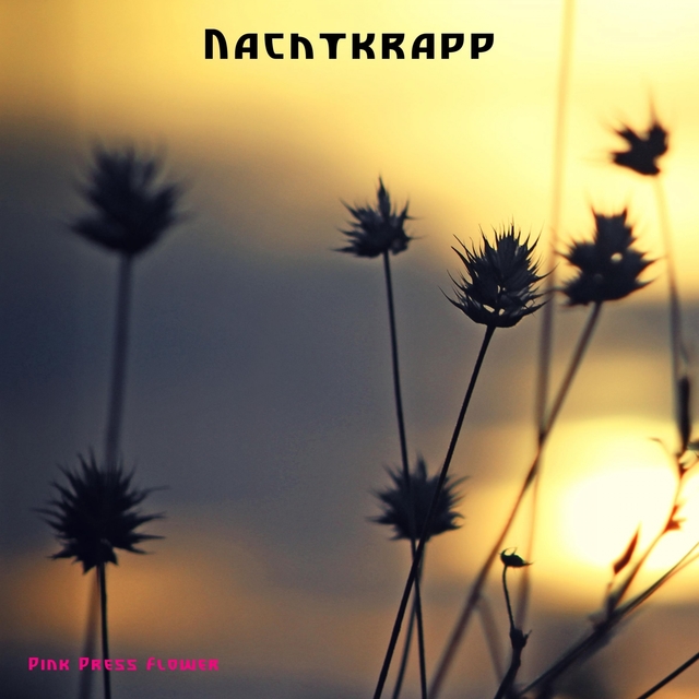 Couverture de Nachtkrapp