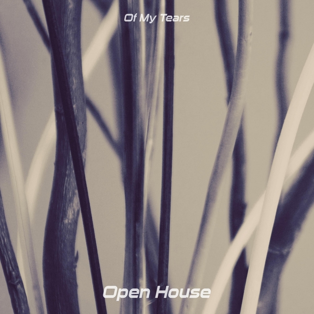 Couverture de Open House