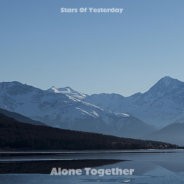 Couverture de Alone Together