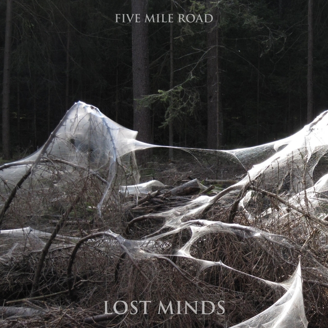 Couverture de Lost Minds