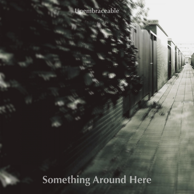 Couverture de Something Around Here