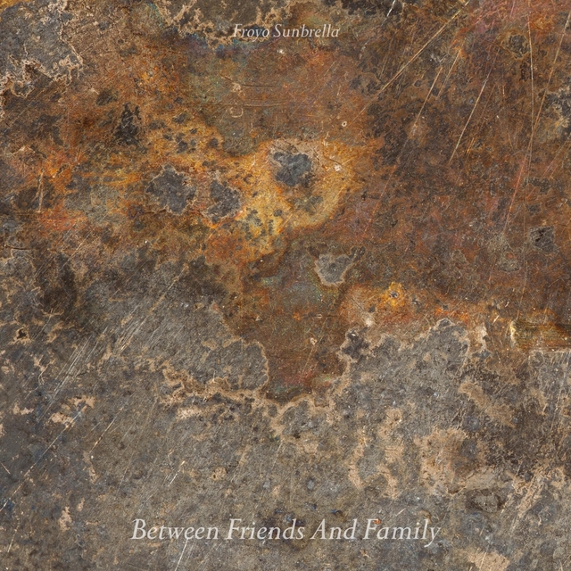 Couverture de Between Friends And Family