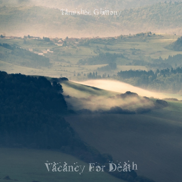 Couverture de Vacancy For Death