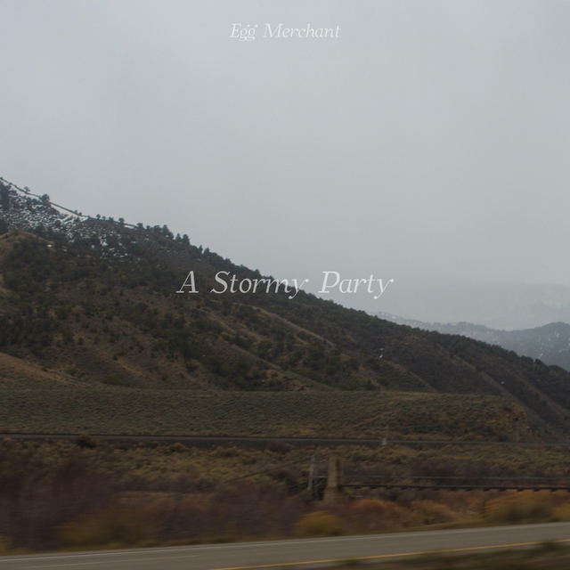 Couverture de A Stormy Party