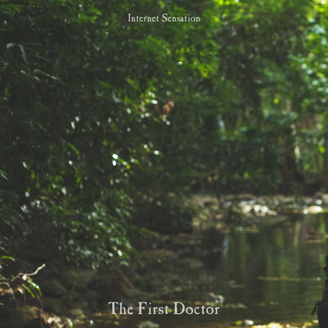 Couverture de The First Doctor