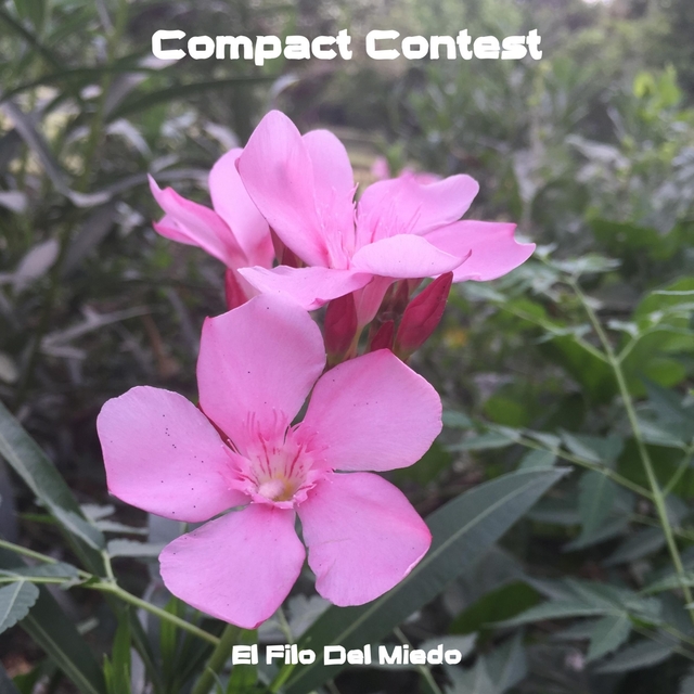 Couverture de Compact Contest