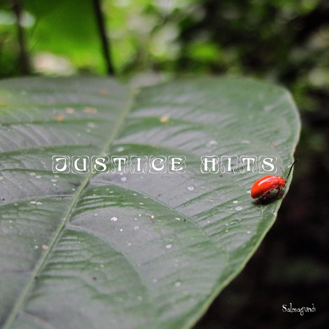 Couverture de Justice Hits