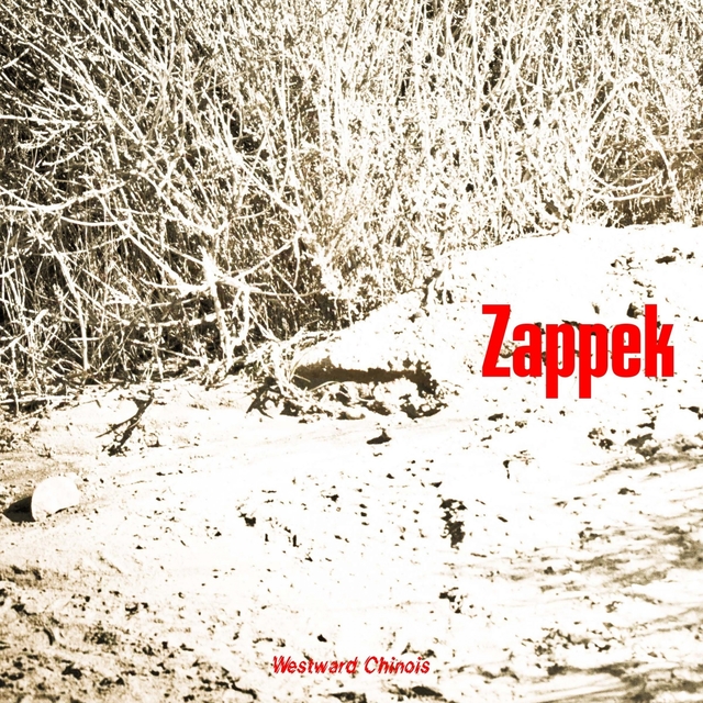 Couverture de Zappek