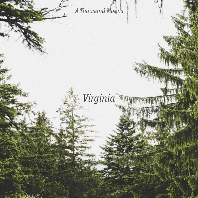 Couverture de Virginia