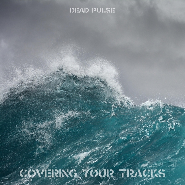 Couverture de Covering Your Tracks