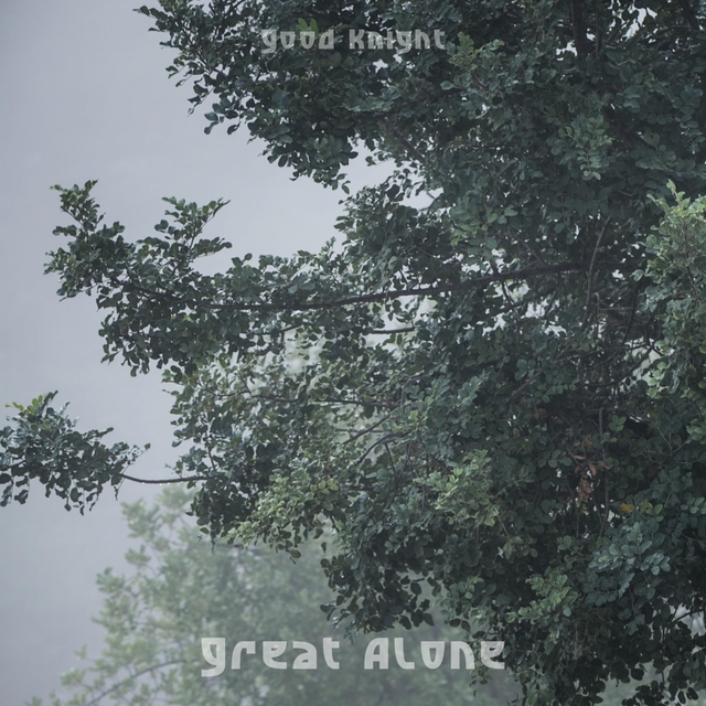 Couverture de Great Alone