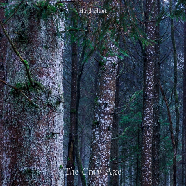 The Gray Axe