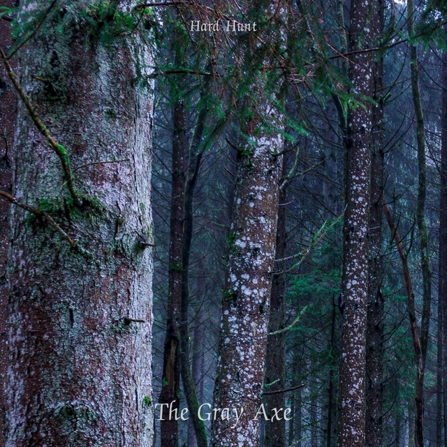 Couverture de The Gray Axe