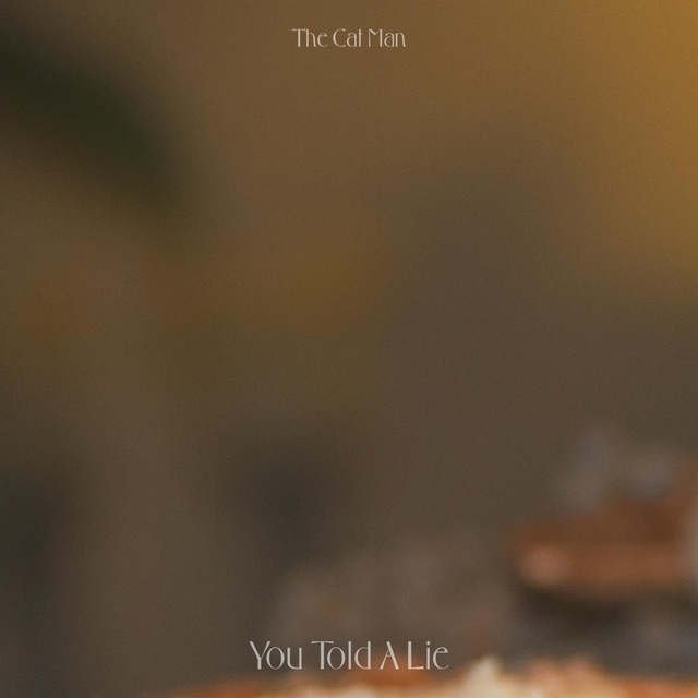 Couverture de You Told A Lie