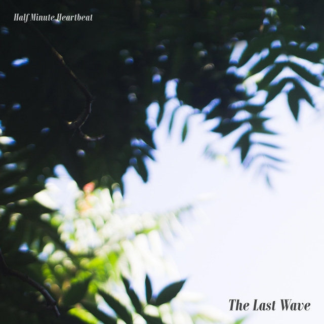 The Last Wave