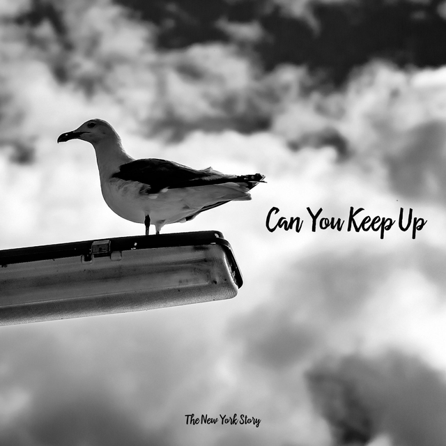 Couverture de Can You Keep Up