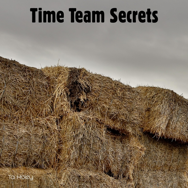 Couverture de Time Team Secrets