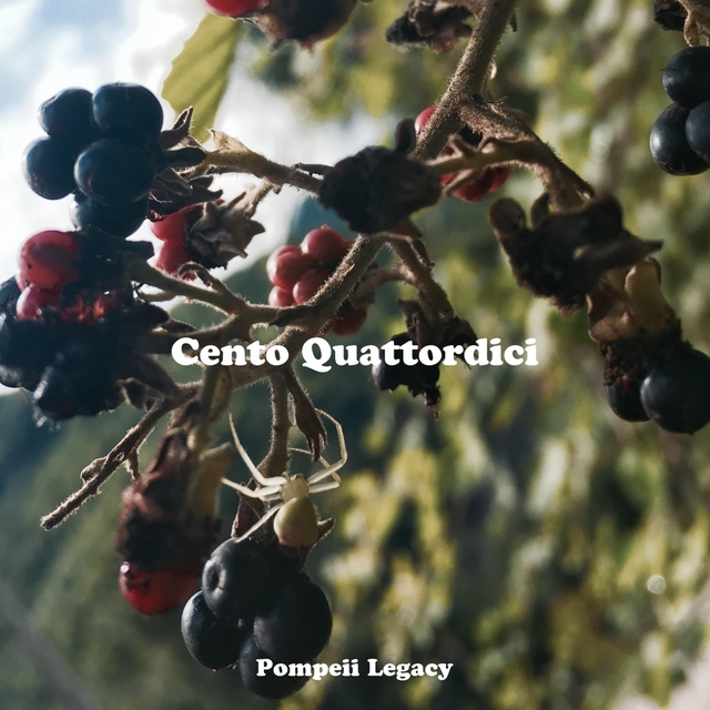 Couverture de Cento Quattordici