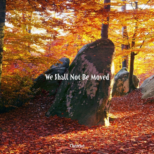 Couverture de We Shall Not Be Moved