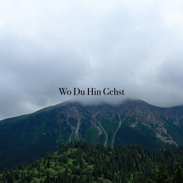 Couverture de Wo Du Hin Gehst