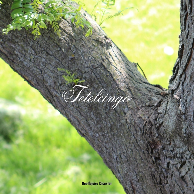 Couverture de Tetelcingo