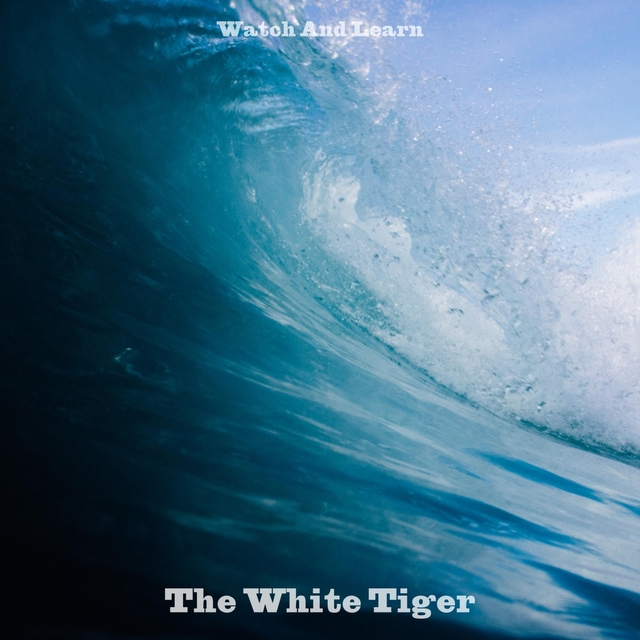 Couverture de The White Tiger