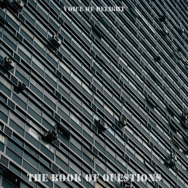 Couverture de The Book Of Questions