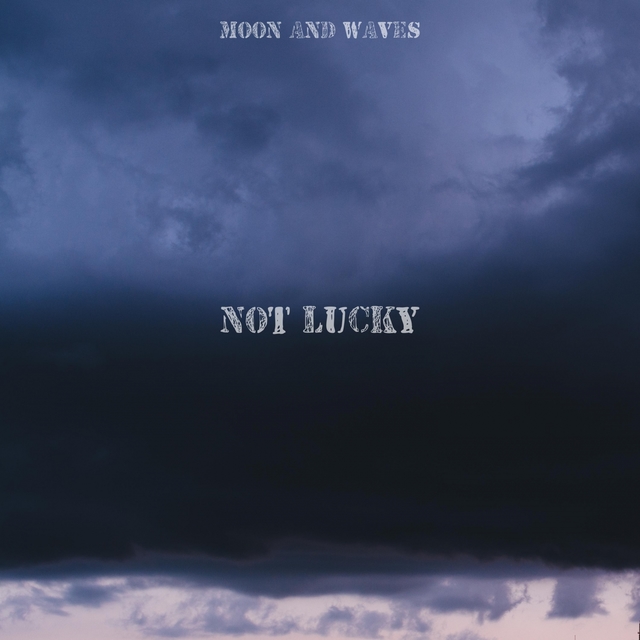 Couverture de Not Lucky