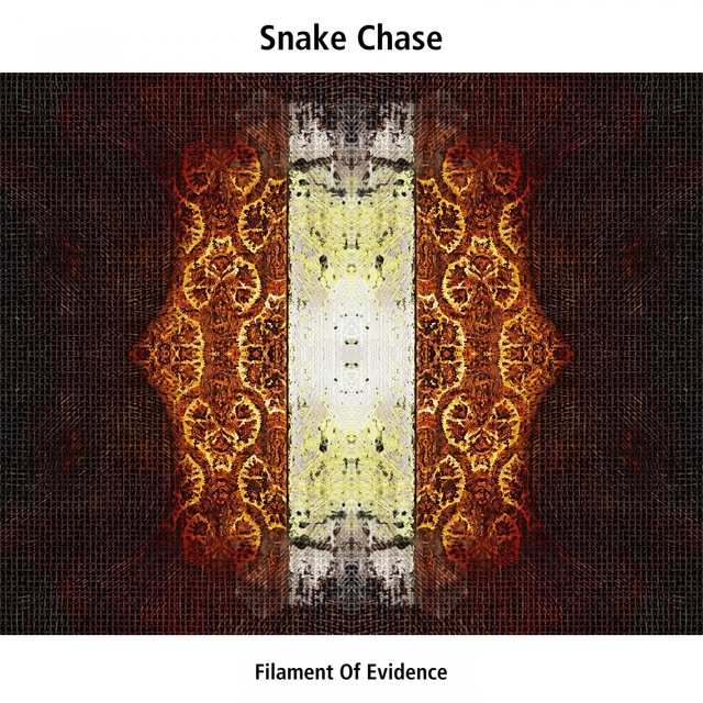 Couverture de Snake Chase