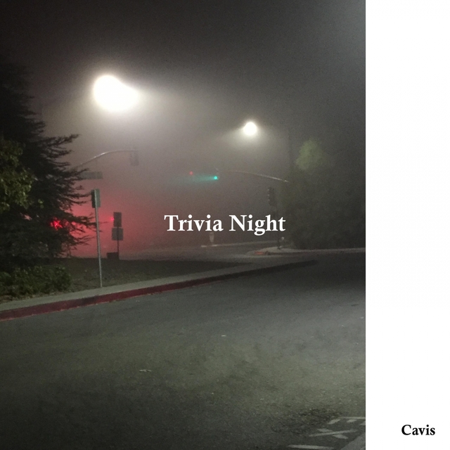 Couverture de Trivia Night