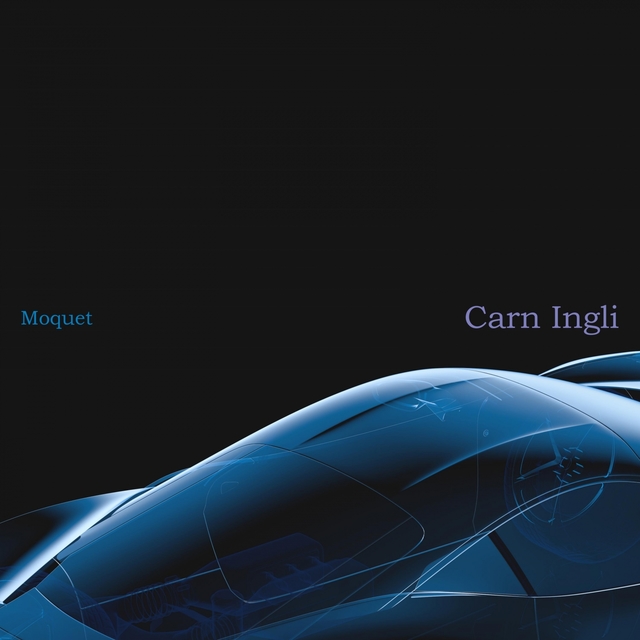 Couverture de Carn Ingli