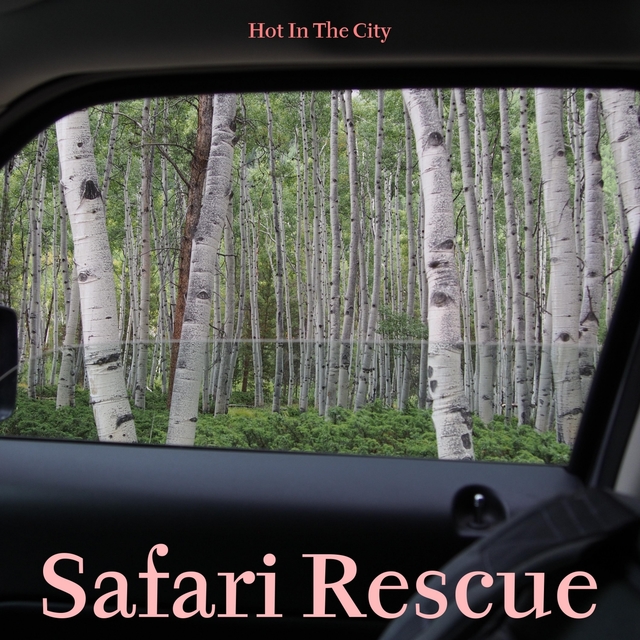 Couverture de Safari Rescue