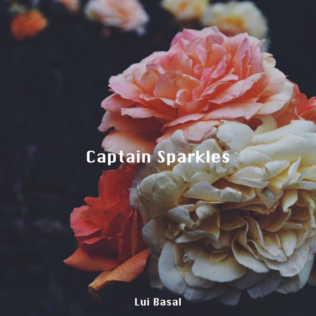 Couverture de Captain Sparkles