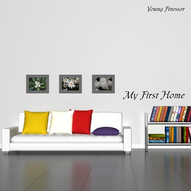 Couverture de My First Home