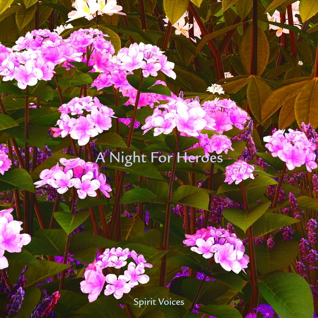 Couverture de A Night For Heroes