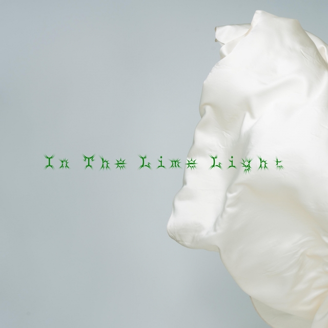 Couverture de In The Lime Light